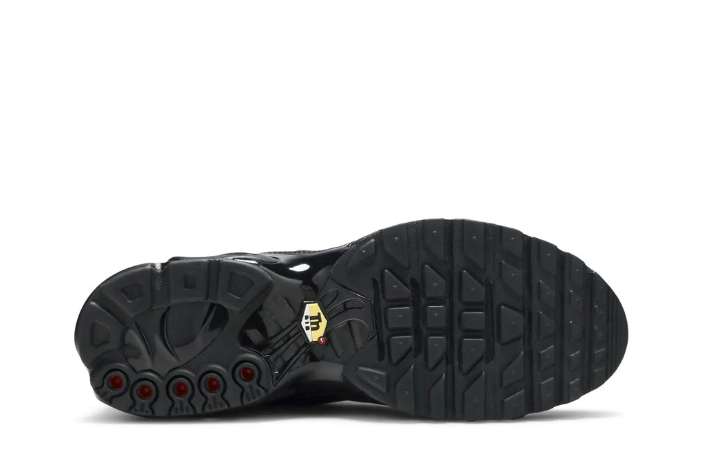 Air Max Plus TN Triple Black