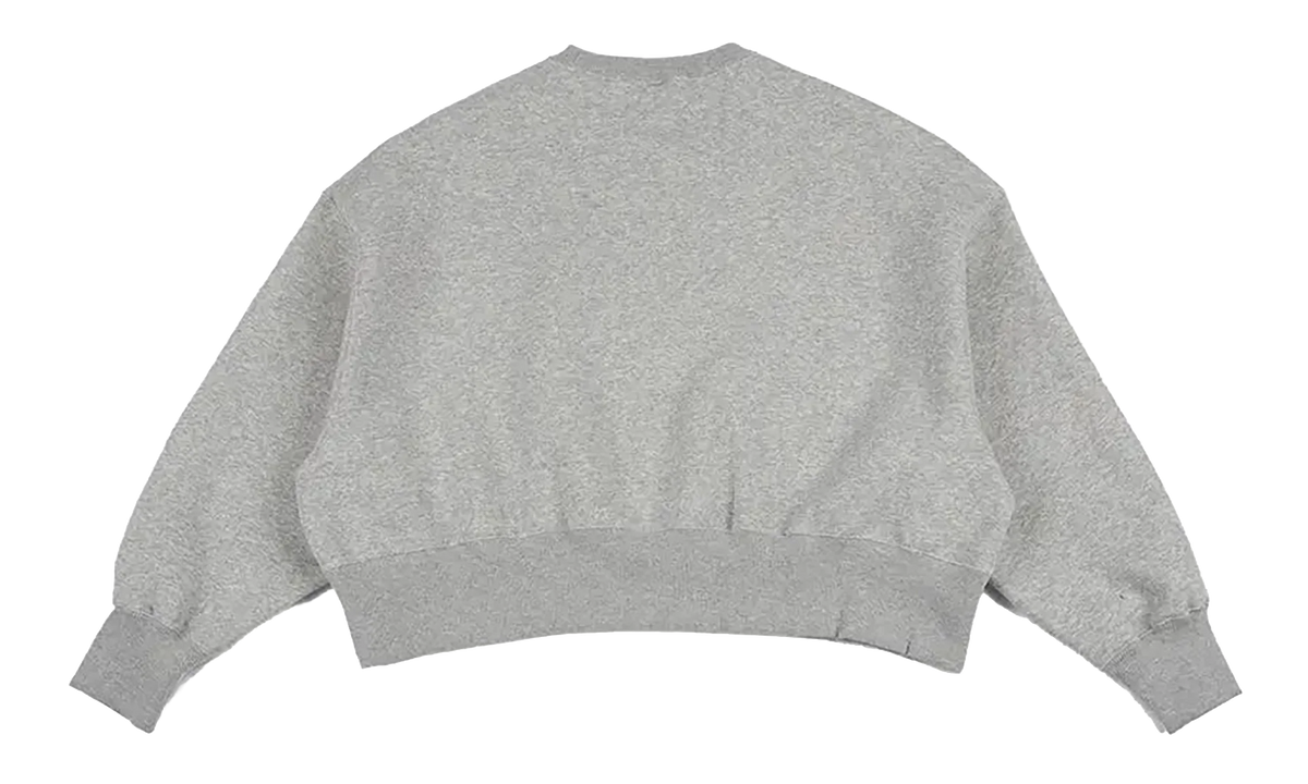NSW Pheoneix Fleece Oversized Crew WMNS "Pure Platinum" DQ5761 043