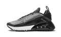 AIR MAX 2090 "Black / Wolf Grey" CW7306 001