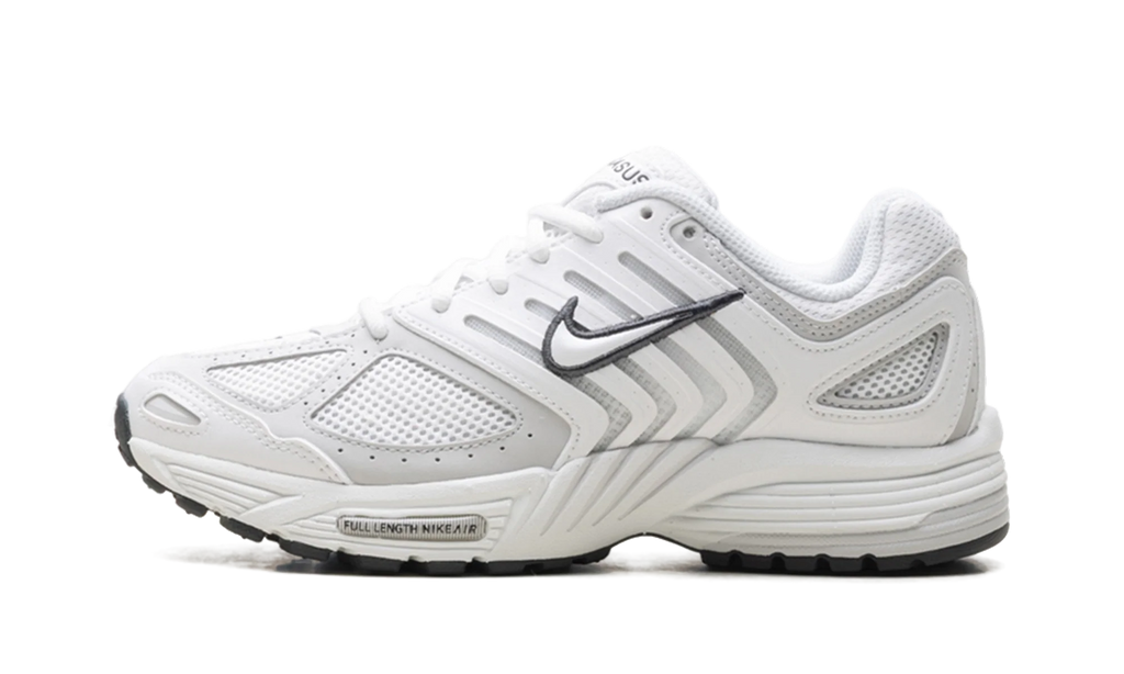 Air Pegasus 2005 WMNS"Summit White Photon Dust" HQ5718 103
