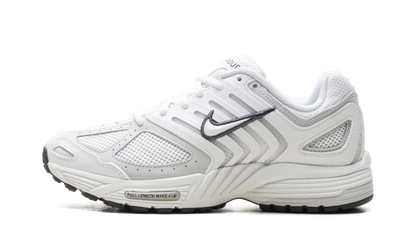 Air Pegasus 2005 WMNS"Summit White Photon Dust" HQ5718 103