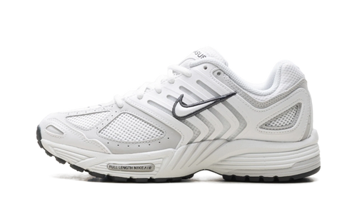 Air Pegasus 2005 WMNS"Summit White Photon Dust" HQ5718 103