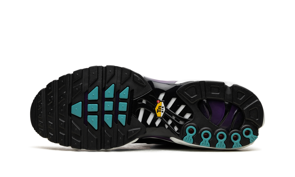 Air Max Plus "Reverse Grape" FQ2415 500