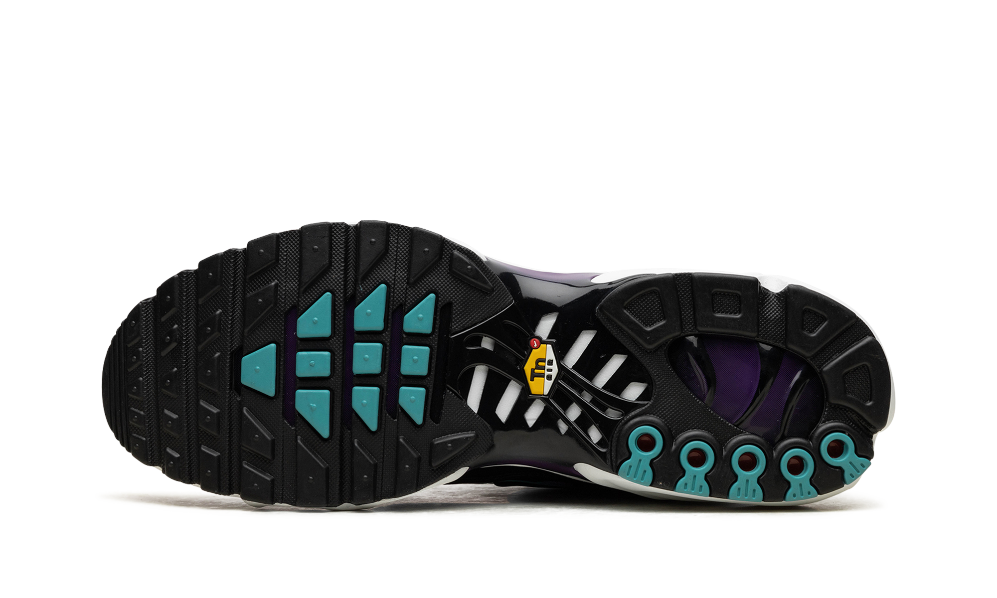 Air Max Plus "Reverse Grape" FQ2415 500