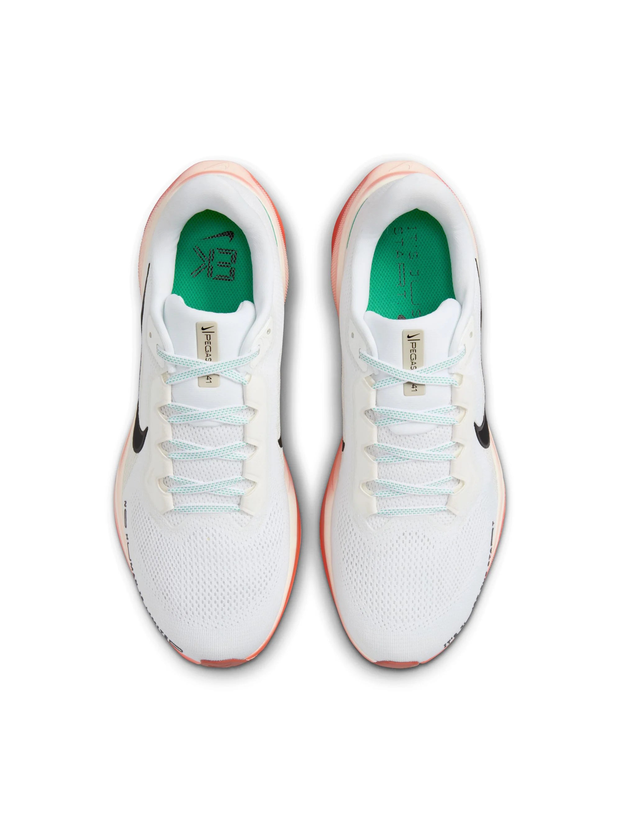 Nike Air Zoom Pegasus 41 Mens Shoes