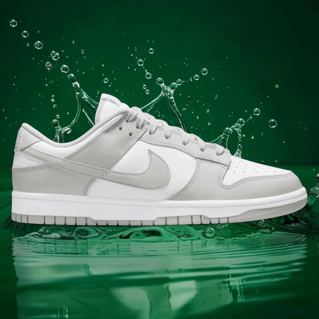NK DUNK LOW