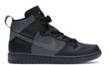 Dunk High FPAR