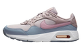 Air Max SC WMNS "Amethyst Ash" CW4554 500