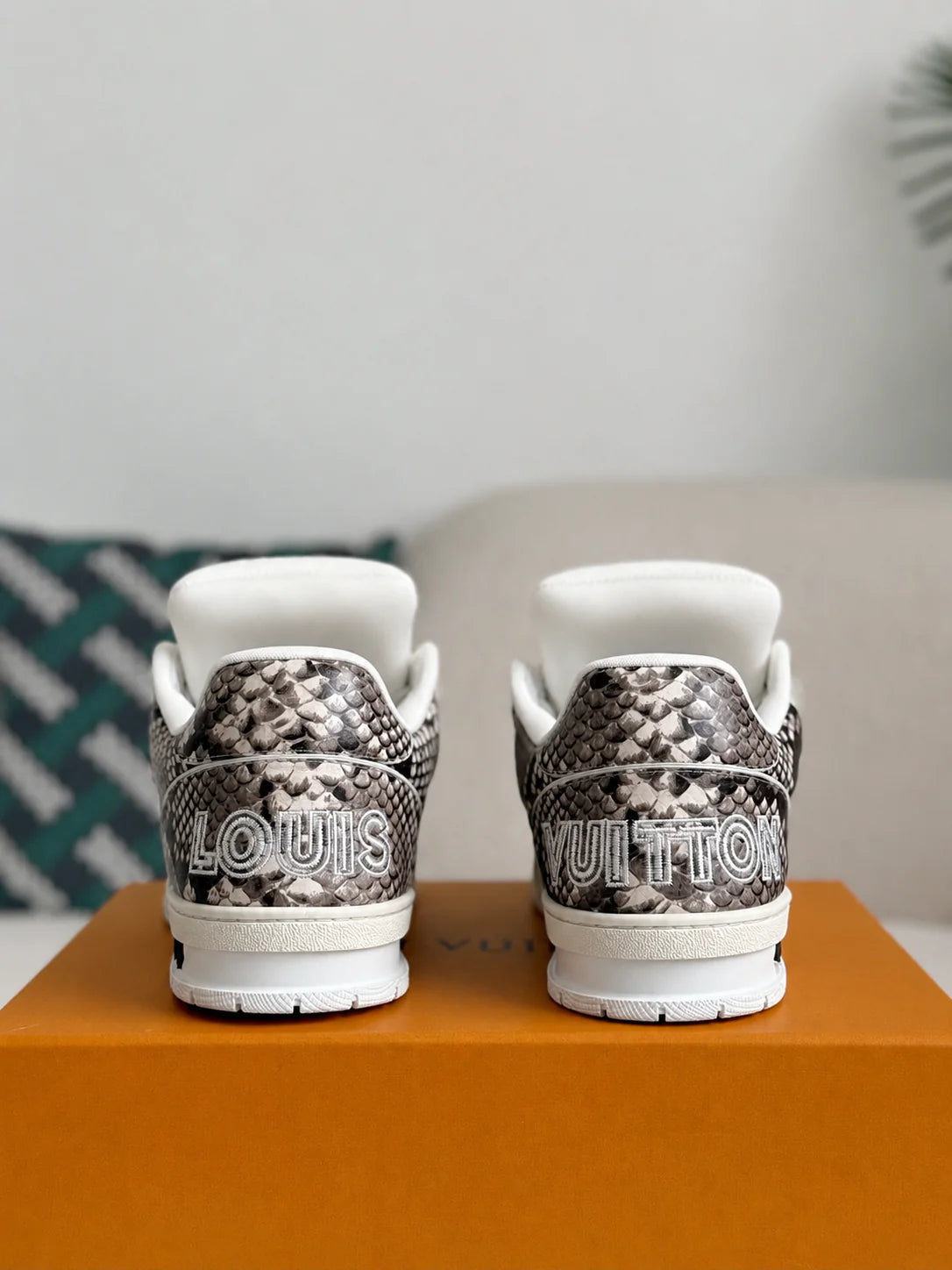 LV Trainer Brown