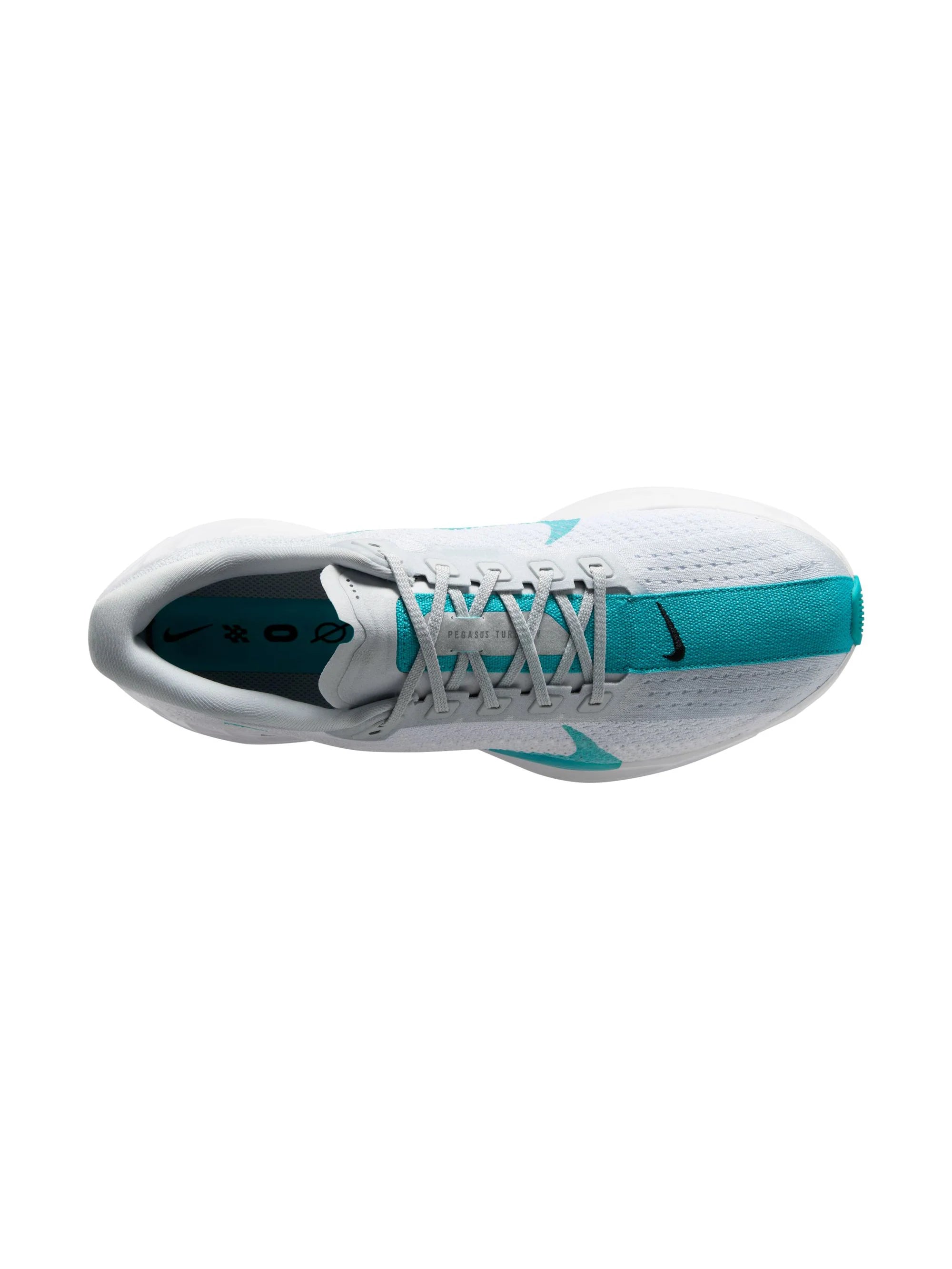 Nike Pegasus Plus Mens Shoes