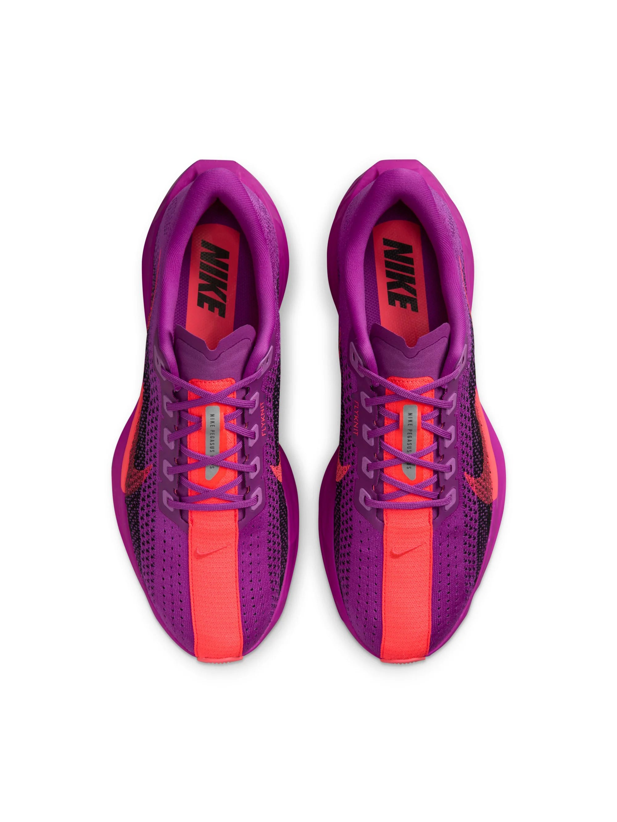 Nike Pegasus Plus Mens Shoes