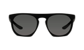 Flatspot Polarized Sunglasses "Matte Black / Silver / Grey Polarized" EV1039 001