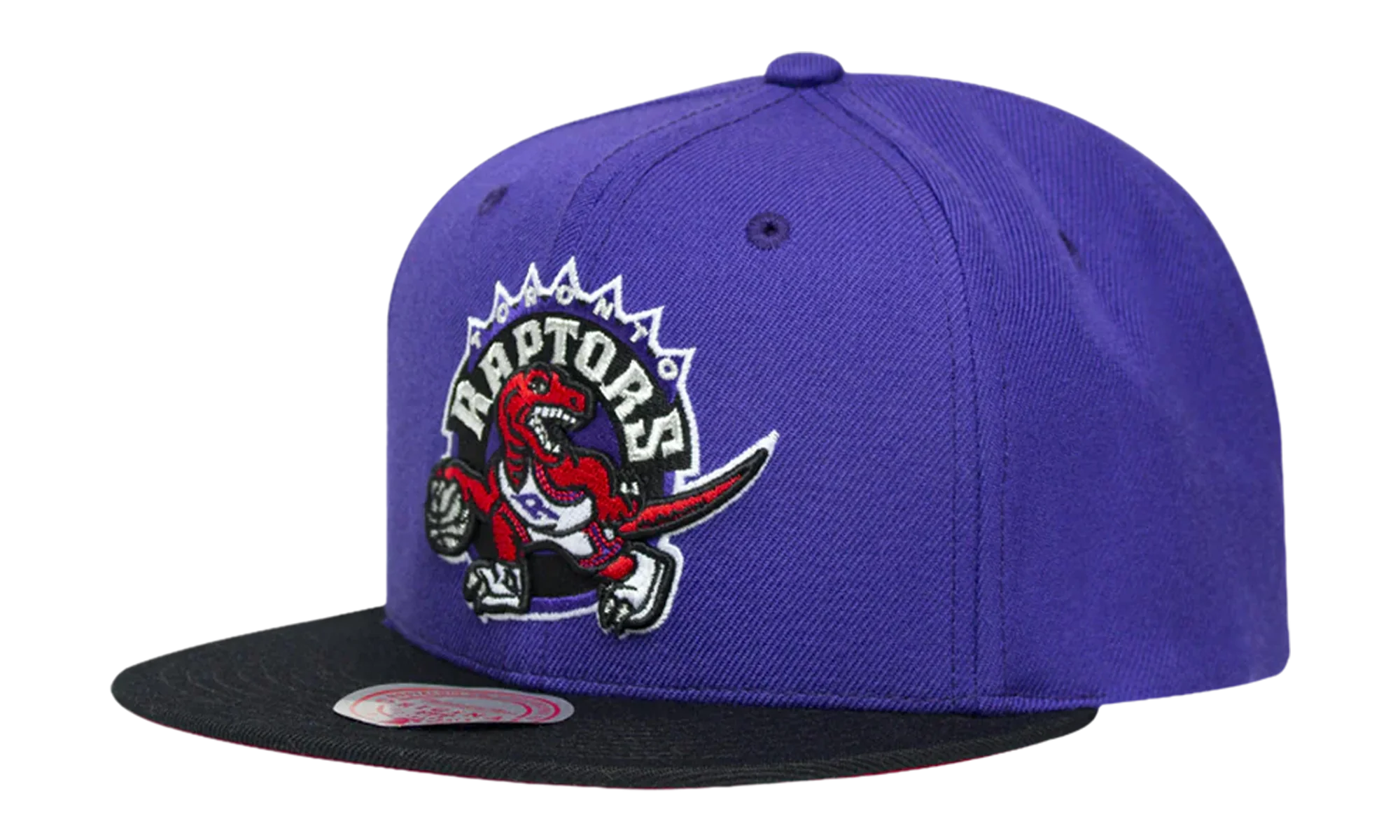 NBA 2-Tone Classic Snapback Cap "Toronto Raptors - Purple / Black" 6HSSJS18093 TRAPRBK