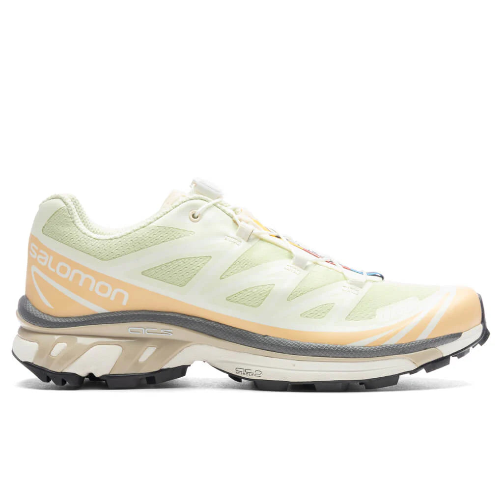 XT 6 Aloe Wash Hazelnut Feather Grey