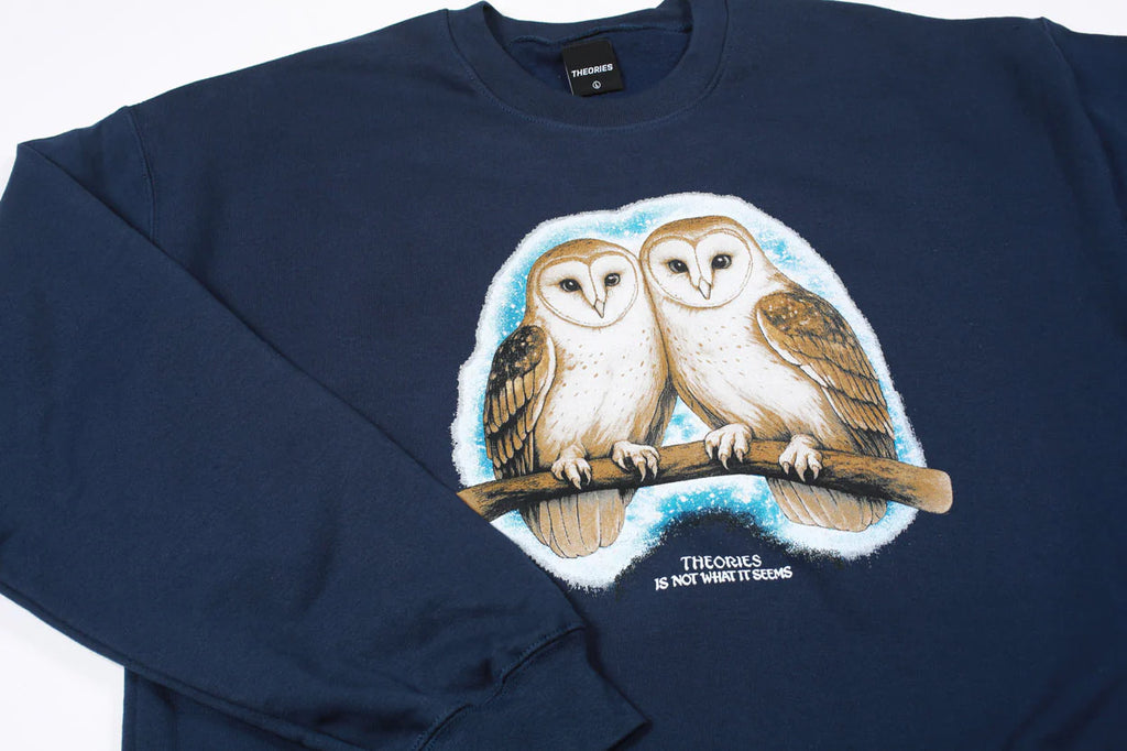 Theories Not What They Seem Crewneck Navy
