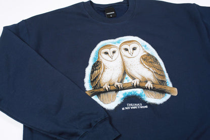 Theories Not What They Seem Crewneck Navy