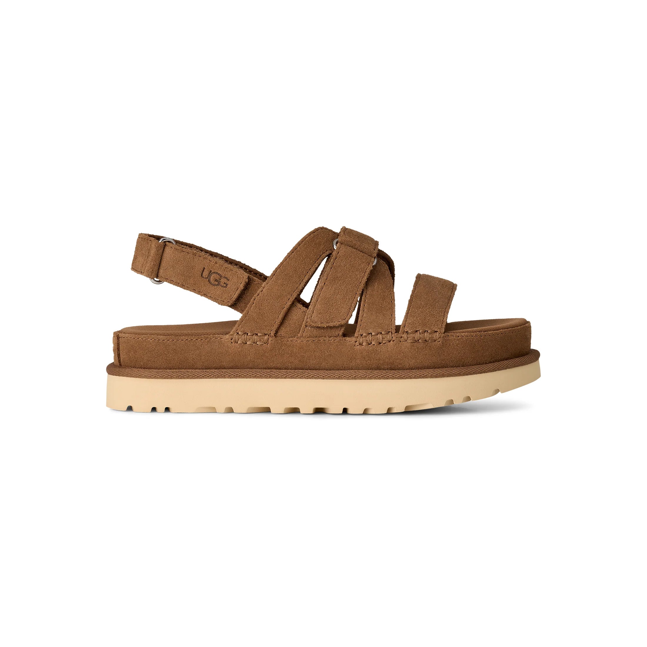 Women's Goldenstar Gleam in Chestnut