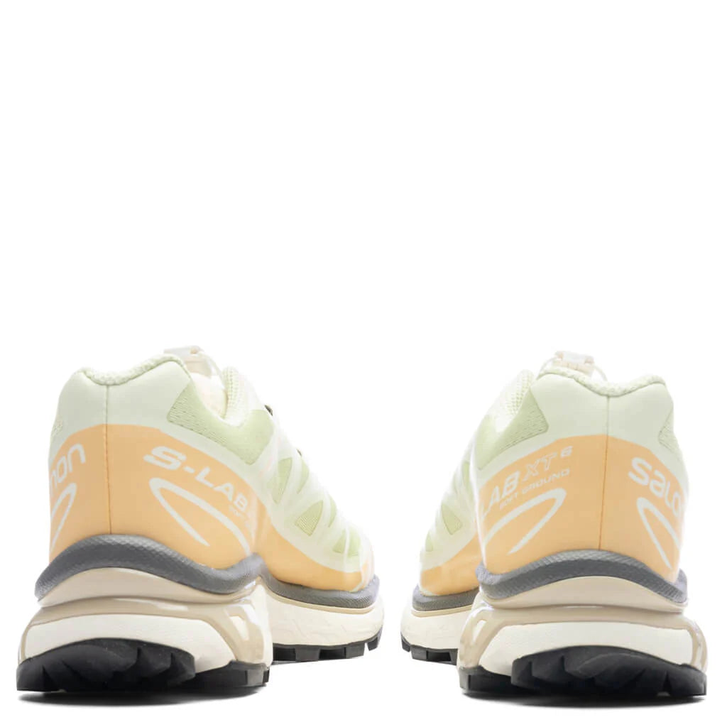 XT 6 Aloe Wash Hazelnut Feather Grey
