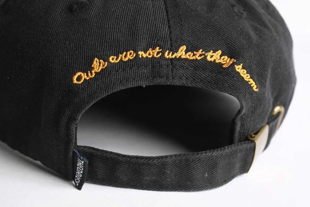 Theories Not What They Seem Strapback Hat Black