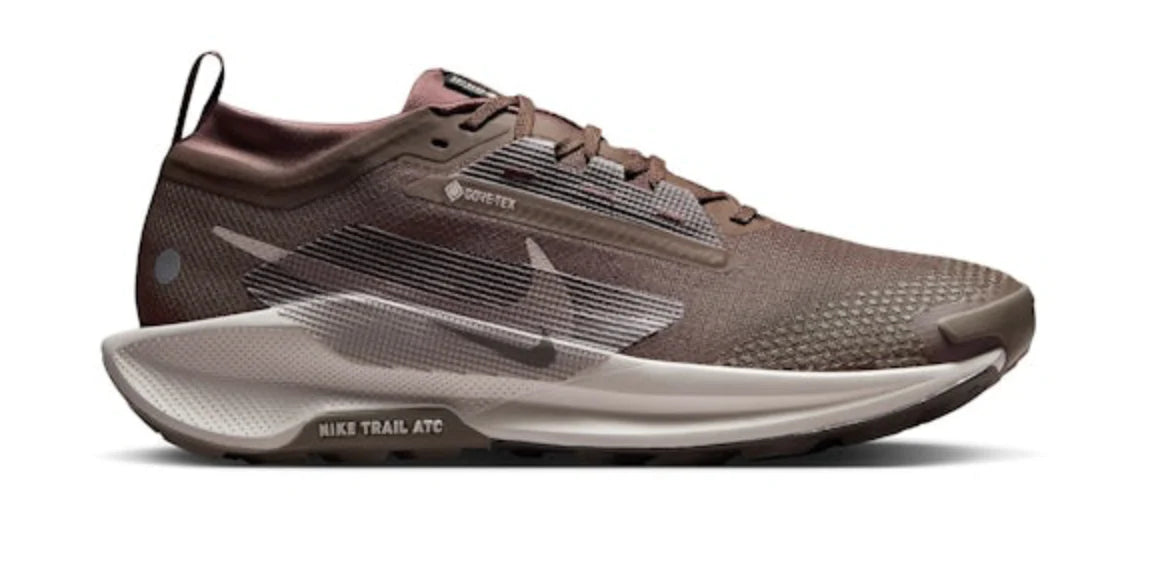 Mens Nike Pegasus Trail 5 GTX CLEARANCE
