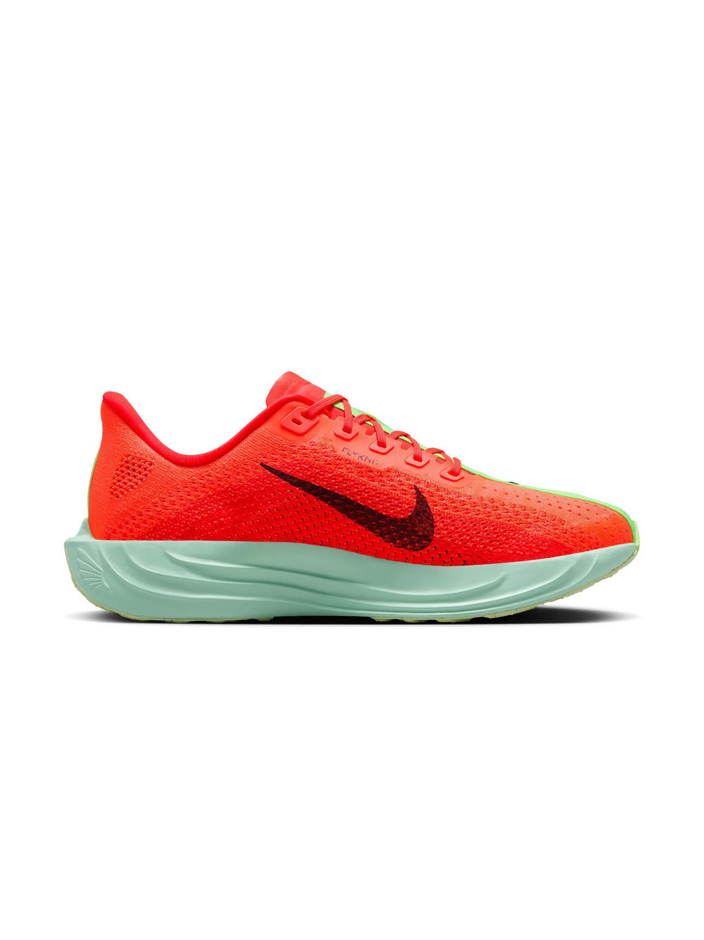 Nike Pegasus Plus Mens Shoes