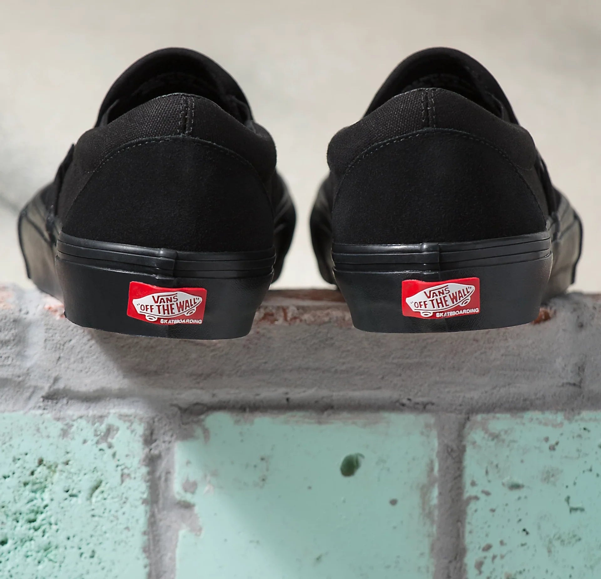 Vans Skate Slip On Black Black