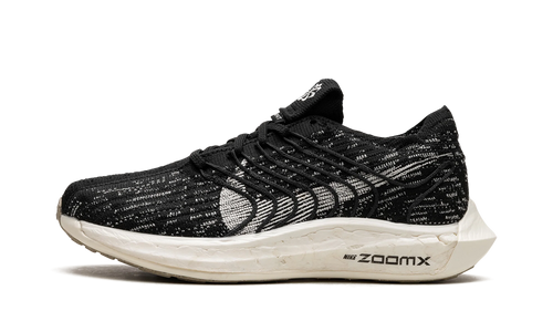PEGASUS TURBO NEXT NATURE WMNS "Black Sail" DM3414 001