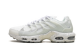 Air Max Terrascape Plus "White Pure Platinum" DQ3977 100