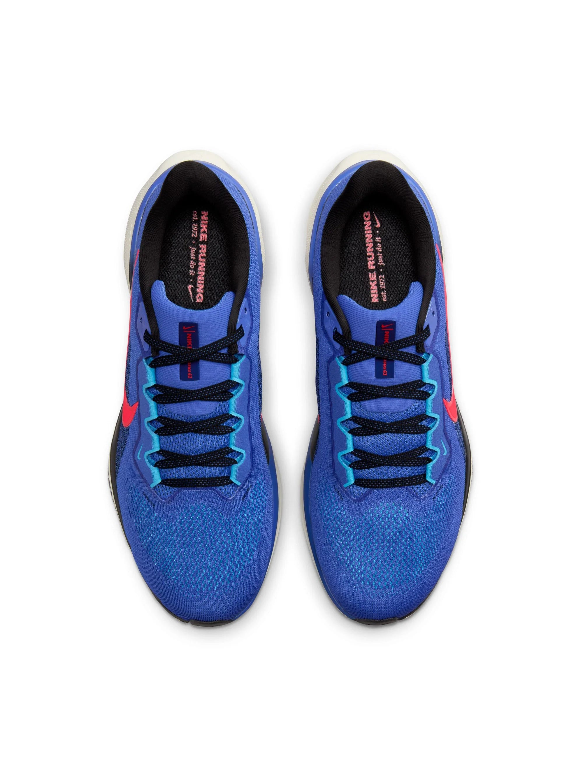 Nike Air Zoom Pegasus 41 Mens Shoes