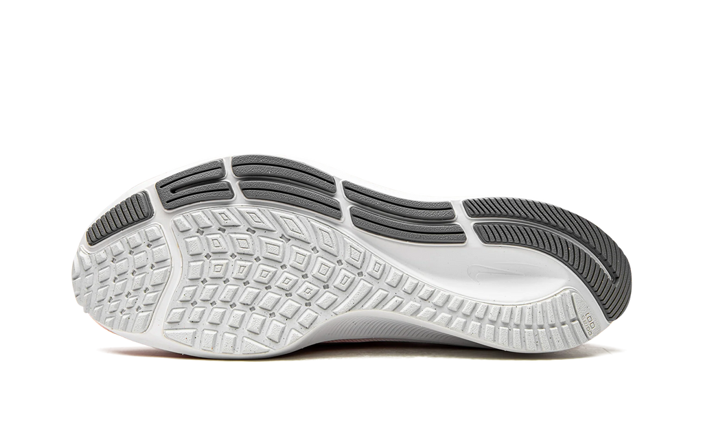 AIR ZOOM PEGASUS 37 MNS WMNS DH0129 600