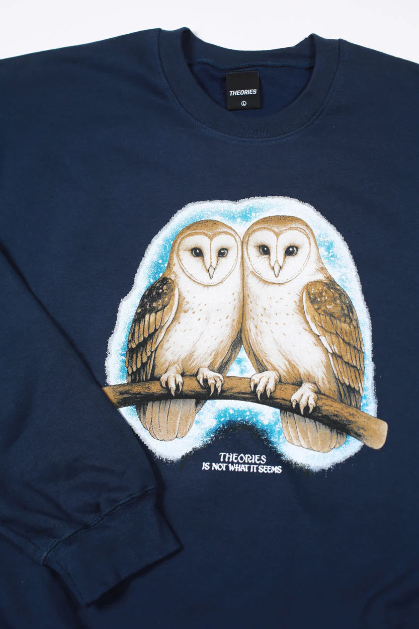 Theories Not What They Seem Crewneck Navy