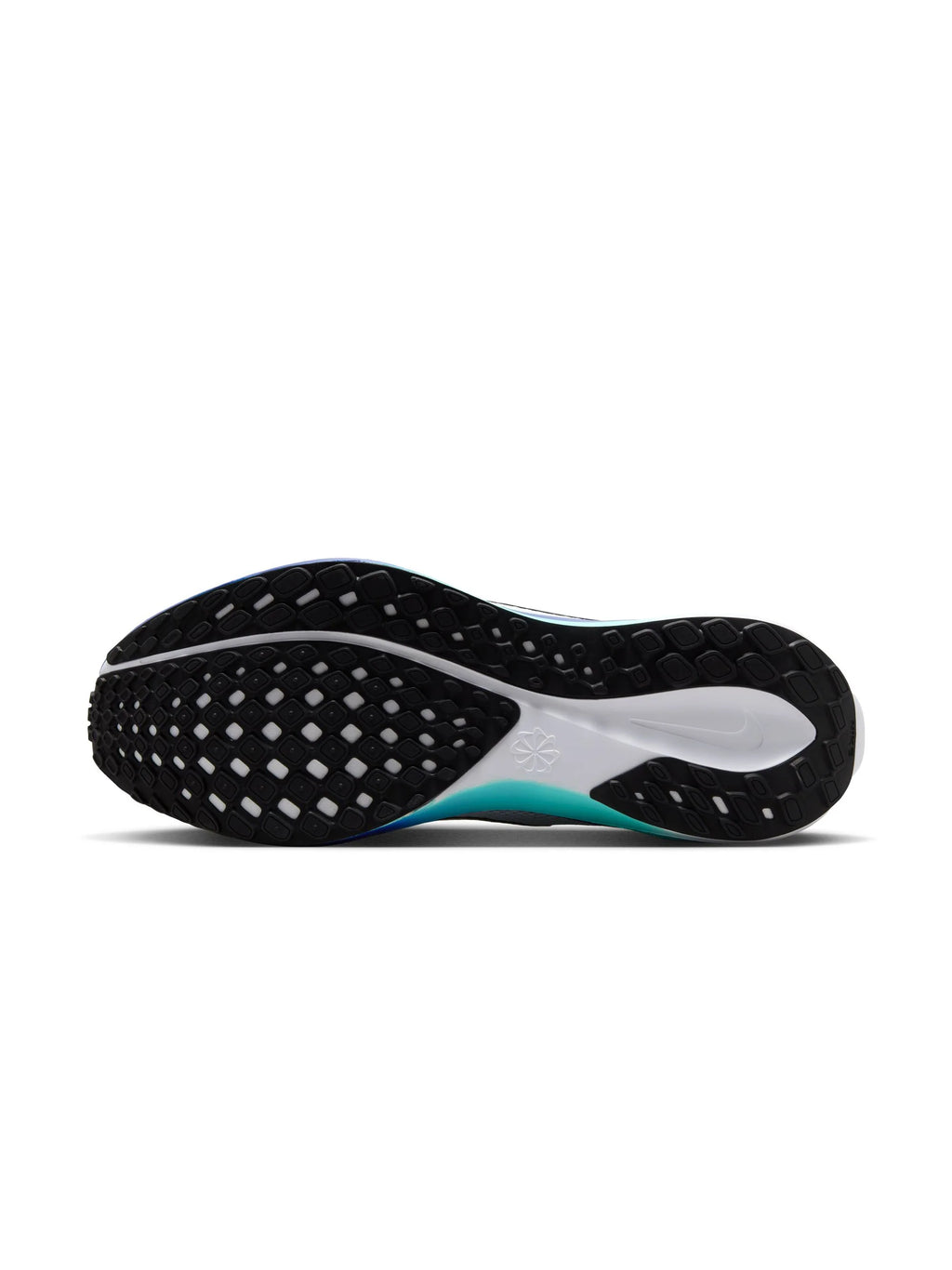 Nike Air Zoom Pegasus 41 Mens Shoes
