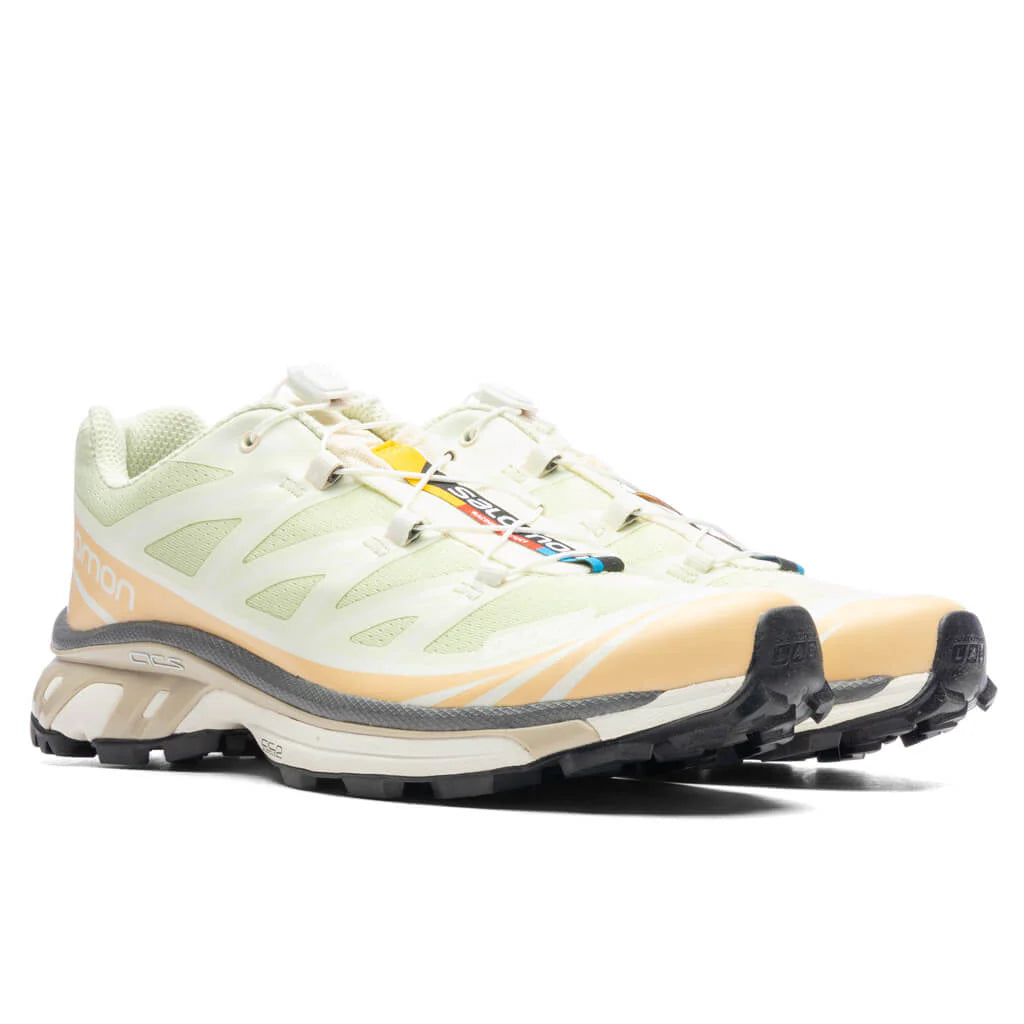 XT 6 Aloe Wash Hazelnut Feather Grey