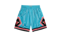 NBA Reload 2.0 Swingman Shorts "1995 Chicago Bulls - Light Blue" SMSHGS20063 CBULTBL95