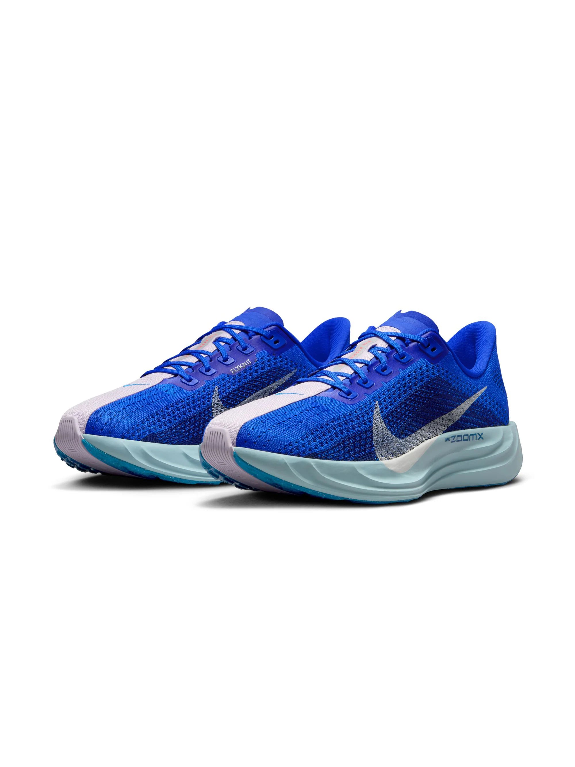 Nike Pegasus Plus Mens Shoes