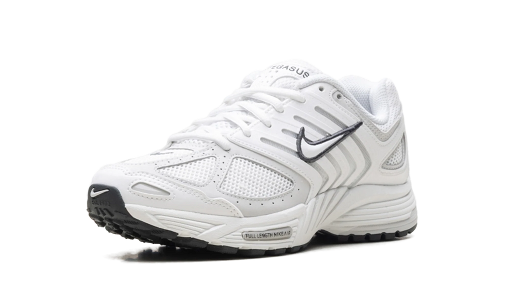Air Pegasus 2005 WMNS"Summit White Photon Dust" HQ5718 103