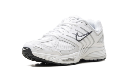 Air Pegasus 2005 WMNS"Summit White Photon Dust" HQ5718 103