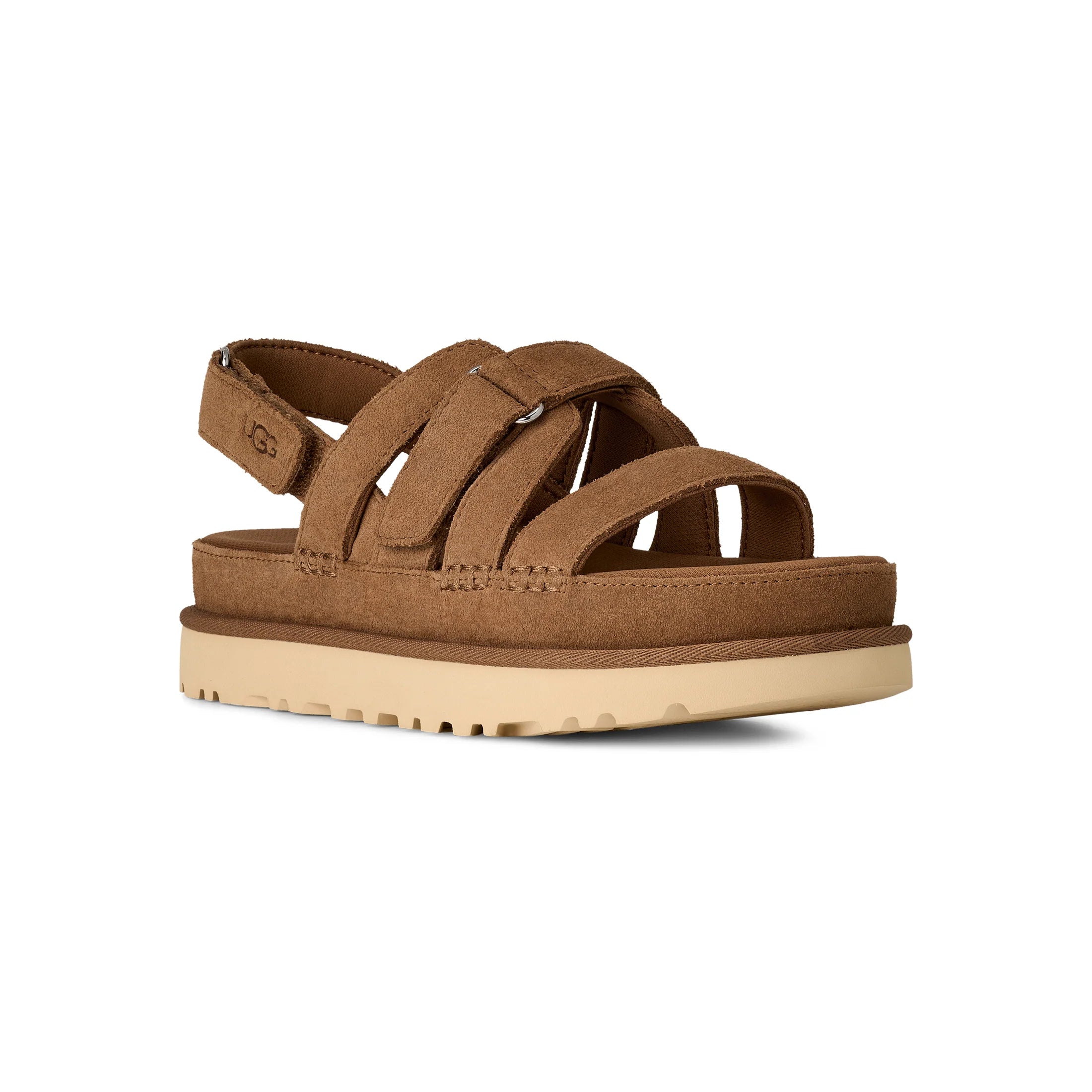 Women's Goldenstar Gleam in Chestnut