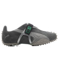RPT 2 Shadow Gray Grassy Green