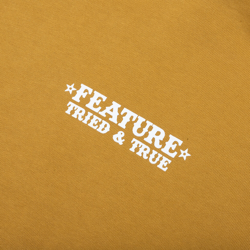 Tried and True Hoodie Wood Thrush