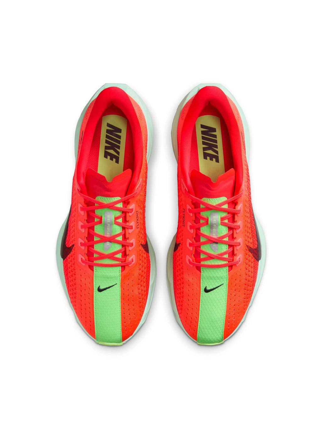 Nike Pegasus Plus Mens Shoes
