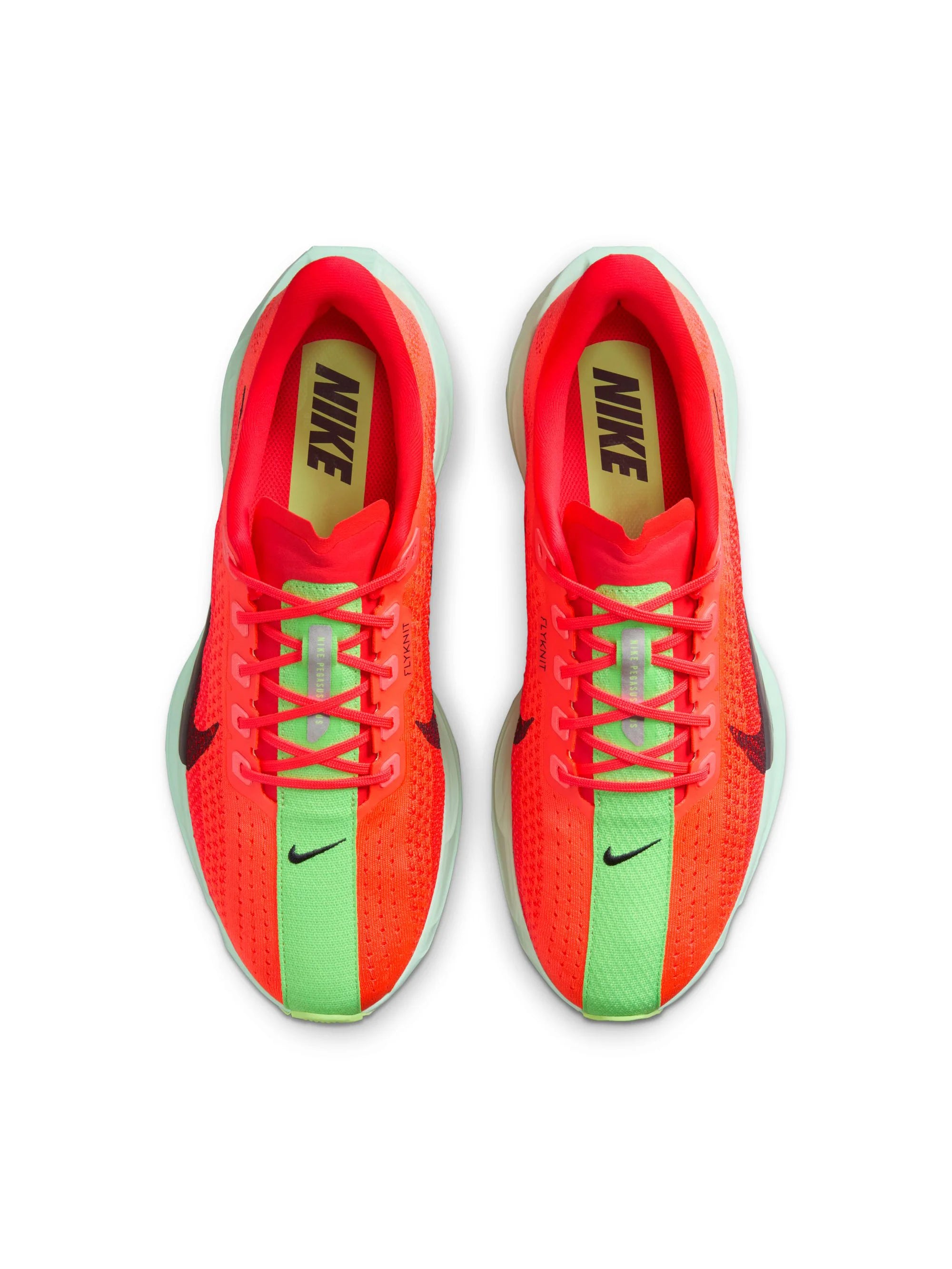 Nike Pegasus Plus Mens Shoes