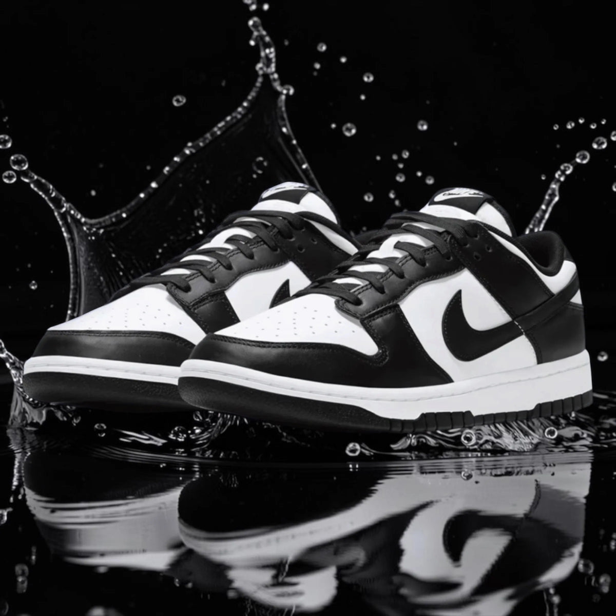 NK DUNK LOW