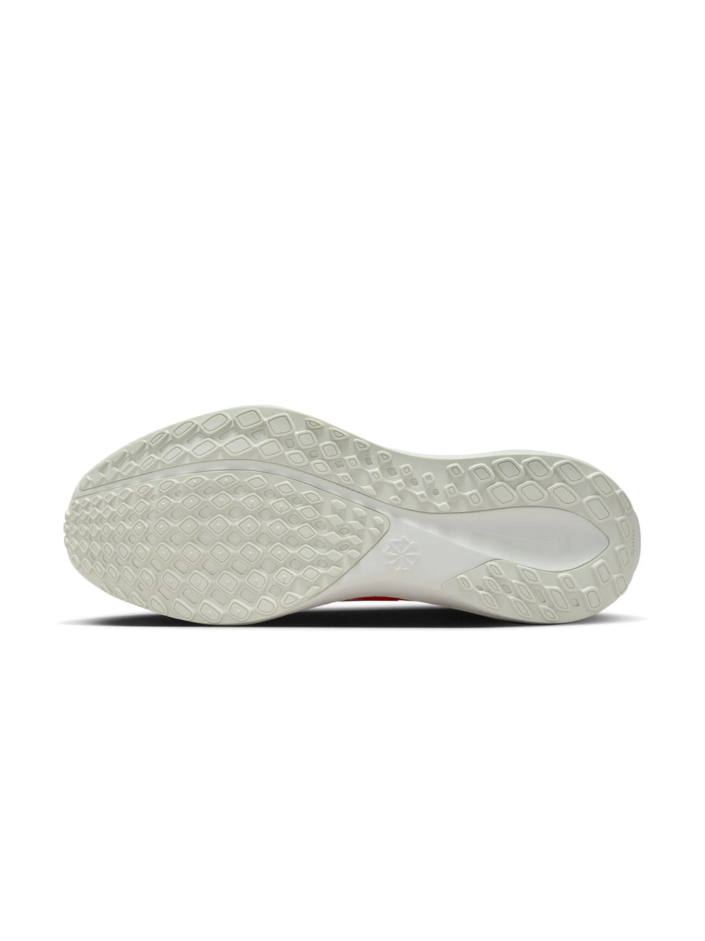 Nike Air Zoom Pegasus 41 Mens Shoes