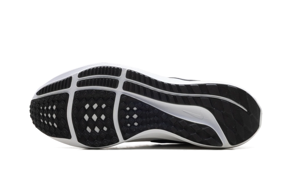 Air Zoom Pegasus 39 TB WMNS"WHITE BLACK" DM0165 100