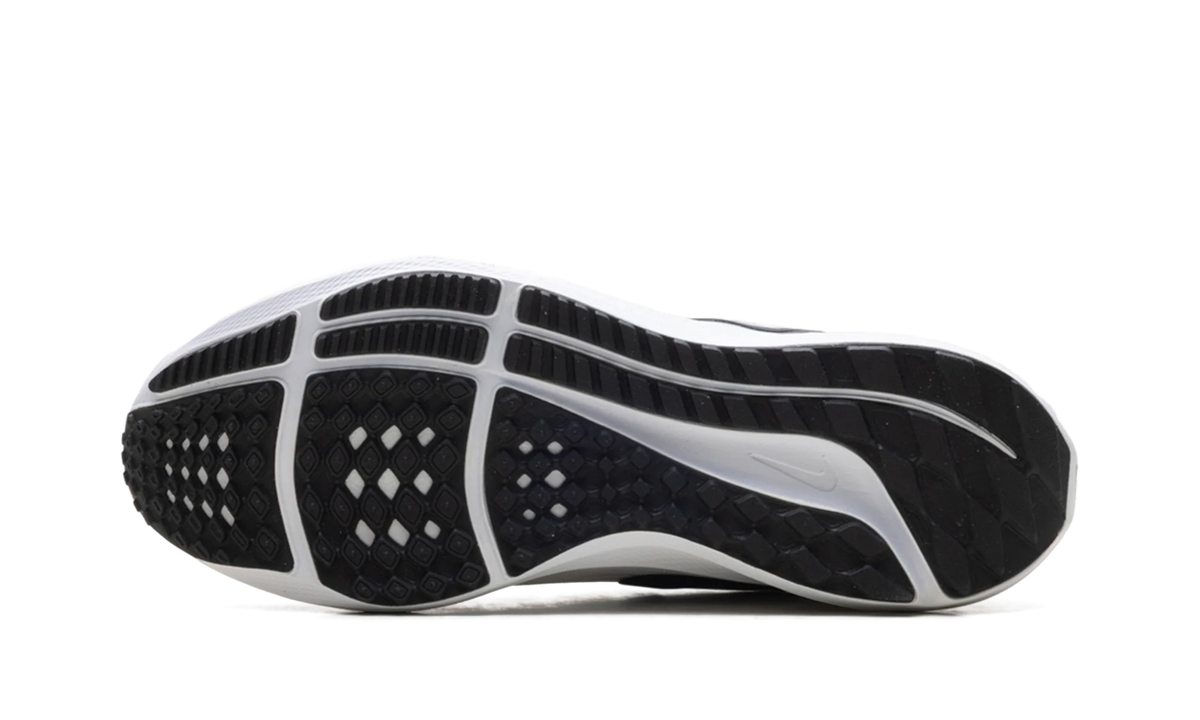 Air Zoom Pegasus 39 TB WMNS"WHITE BLACK" DM0165 100