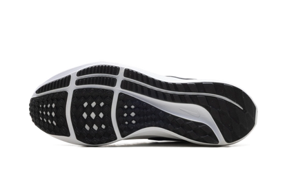 Air Zoom Pegasus 39 TB WMNS"WHITE BLACK" DM0165 100
