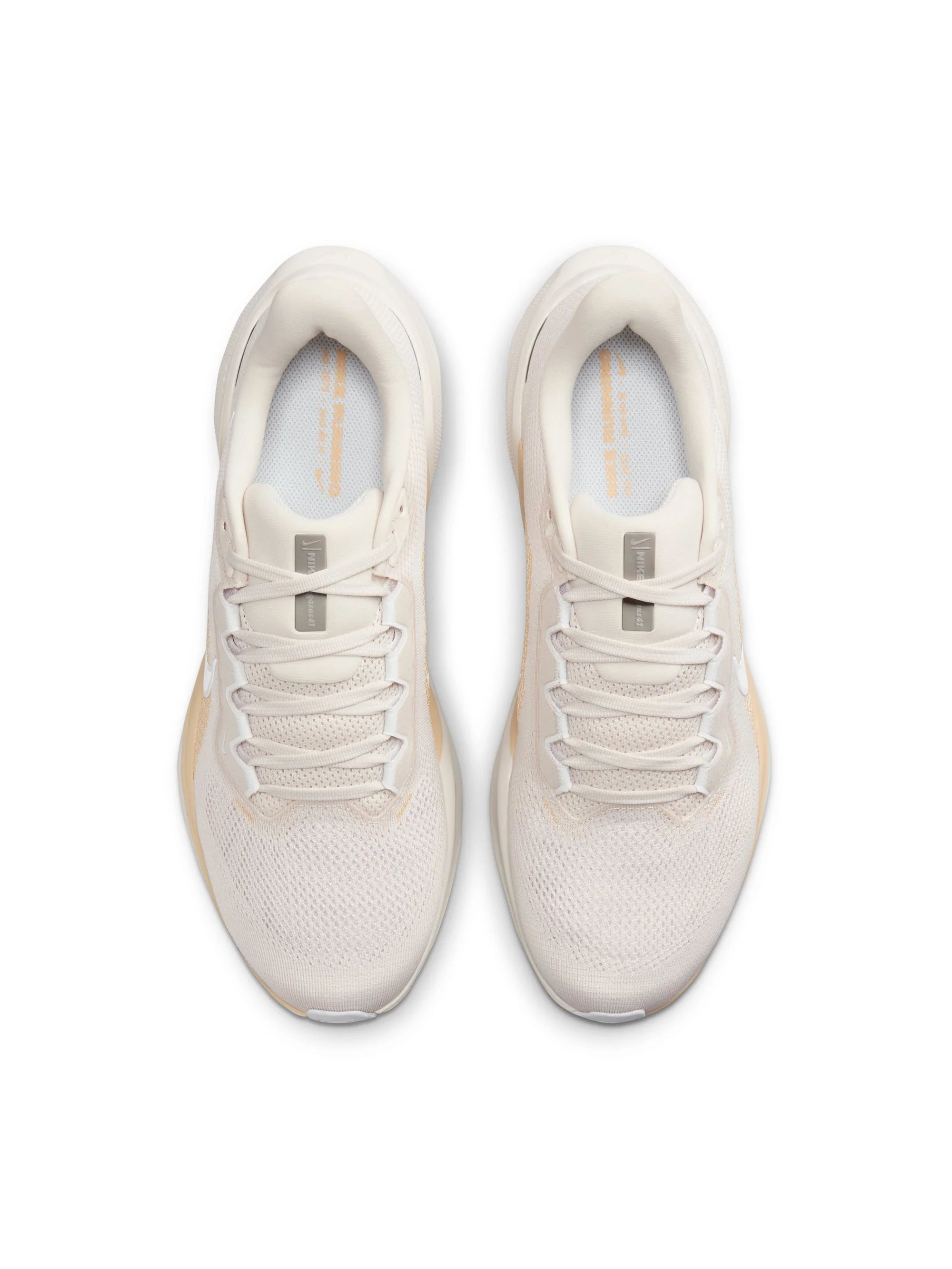 Nike Air Zoom Pegasus 41 Mens Shoes