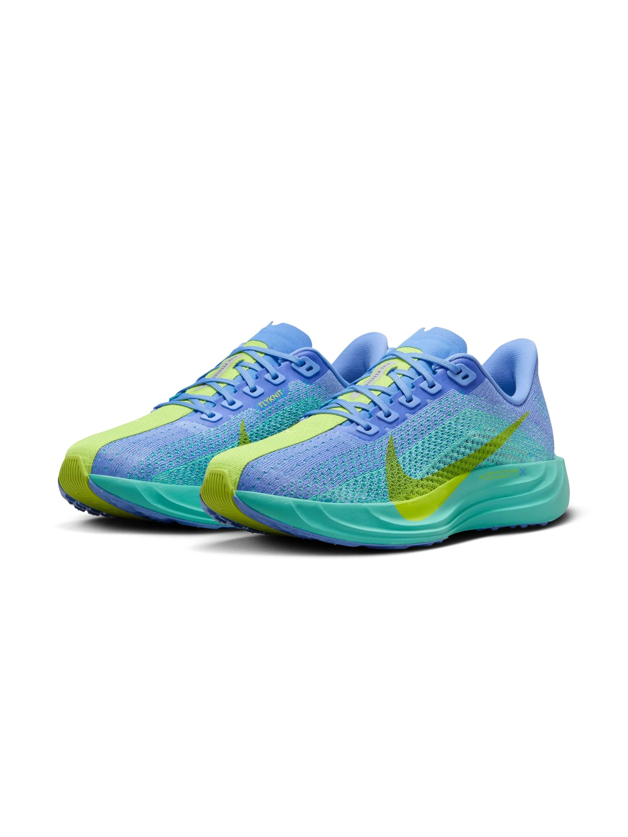 Nike Pegasus Plus Womens Shoes