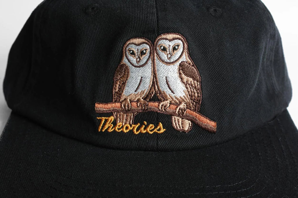 Theories Not What They Seem Strapback Hat Black